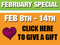 Feb Special